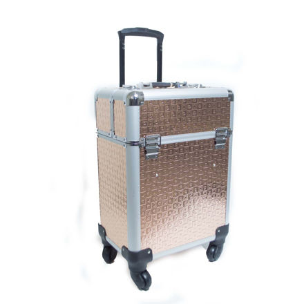 Imagen de Maletin con Reparticiones Gold 34x25x42