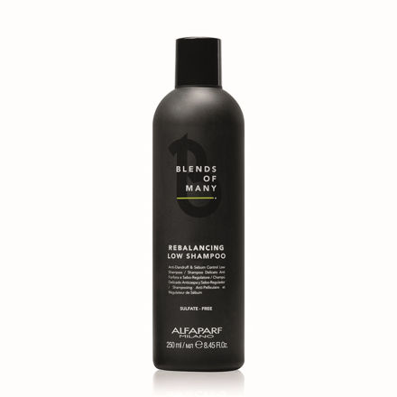 Imagen de Low Shampoo Alfaparf Blends of Many 250 ml Rebalancing
