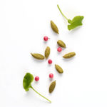 Imagen de Emporio Armani Stronger With You Edt 100 ml