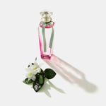 Imagen de Adolfo Dominguez Agua Fresca de Gardenia Musk Edt 120 ml