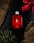 Imagen de Ralph Lauren Polo Red Edp 75 ml