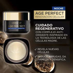 Imagen de Crema de Noche Loreal Age Perfect Cell Renewal 50 ml