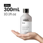 Imagen de Shampoo Silver Matizador Loreal Pro 300 ml