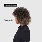 Imagen de Shampoo Reparador Absolut Repair Gold Loreal Pro 500 ml