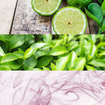 Imagen de Calvin Klein One Edt 100 ml