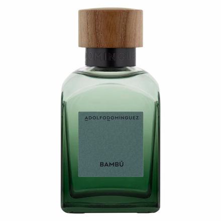 Imagen de Adolfo Dominguez Bambu Man 120 ml