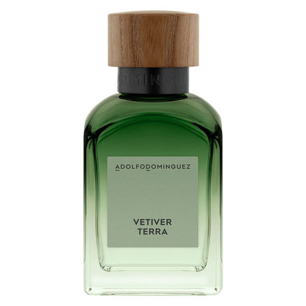 Imagen de Adolfo Dominguez Vetiver Terra Men Edt 120 ml