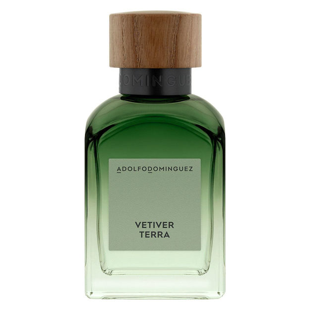 Imagen de Adolfo Dominguez Vetiver Terra Men Edt 120 ml