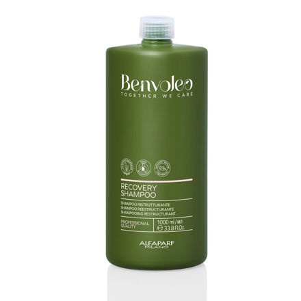 Imagen de Shampoo Alfaparf Benvoleo Recovery 1000 ml