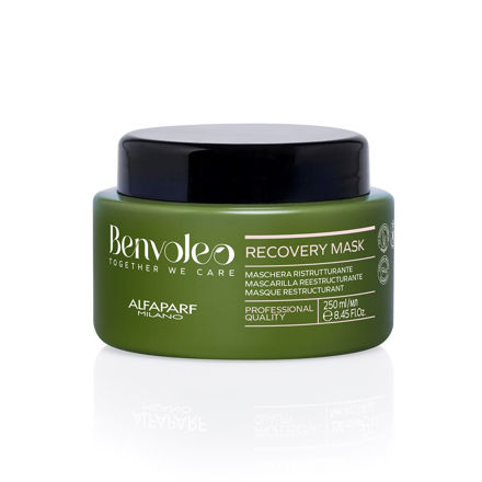 Imagen de Mascarilla Alfaparf Benvoleo Recovery 250 ml