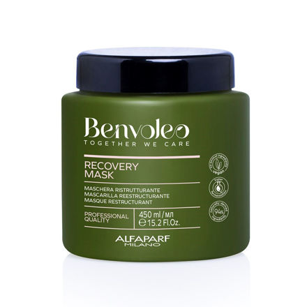 Imagen de Mascarilla Alfaparf Benvoleo Recovery 450 ml