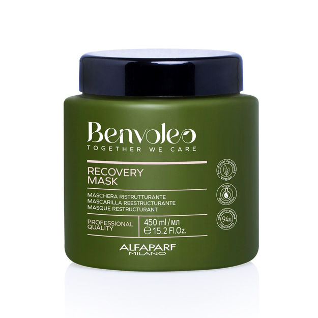 Imagen de Mascarilla Alfaparf Benvoleo Recovery 450 ml