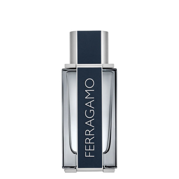 Imagen de Ferragamo Men Edt 100 ml