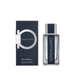 Imagen de Ferragamo Men Edt 100 ml