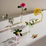 Imagen de Adolfo Dominguez Agua Fresca de Rosas Women Edt 60 ml