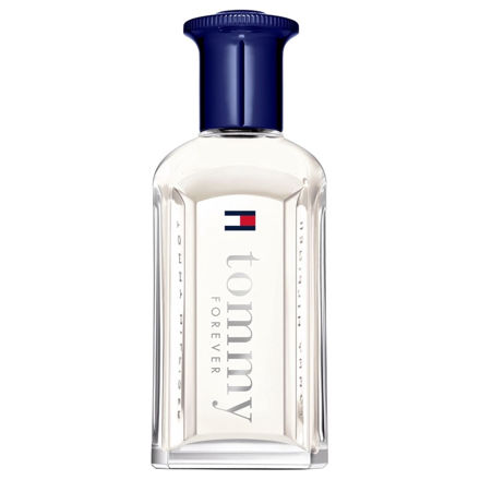 Imagen de Tommy Hilfiger Forever Men Edt 50 ml