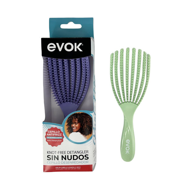 Imagen de Cepillo Desenredador Evok HBH-021