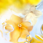 Imagen de Lancome O Zenith Edt 100 ml