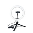 Imagen de Aro de Luz con Tripode de mesa Baiding