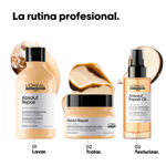 Imagen de Shampoo Reparador Absolut Repair Gold Loreal Pro 300 ml