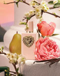 Imagen de Dolce & Gabbana My Devotion Edp Intense 100 ml